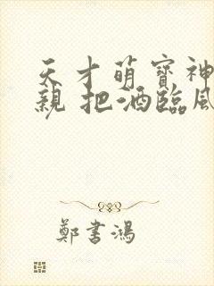 天才萌宝神医娘亲 把酒临风