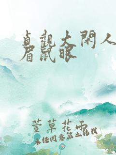 贞观大闲人 贼眉鼠眼