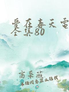 爱在春天电视剧全集80
