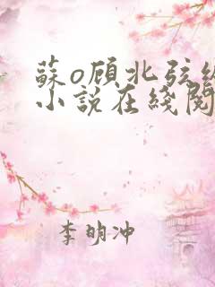 苏o顾北弦纵横小说在线阅读