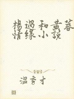 杨过和黄蓉荒岛情缘小说
