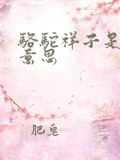 骆驼祥子是什么意思
