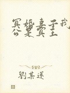 冥婚妻子我的老公是冥王