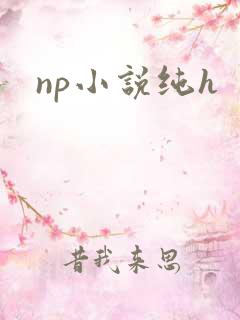 np小说纯h