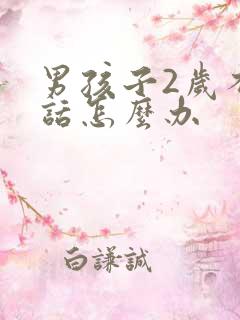 男孩子2岁不说话怎么办