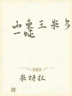 山东玉米多少钱一吨