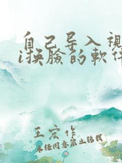 自己导入视频ai换脸的软件
