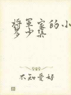将军家的小娘子多少集