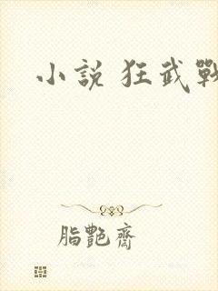小说 狂武战帝