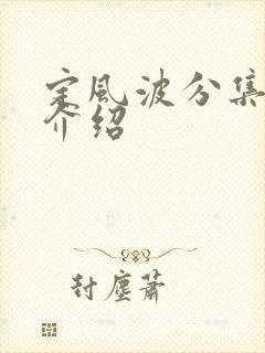 定风波分集剧情介绍