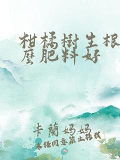 柑橘树生根用什么肥料好