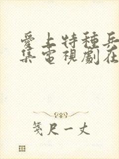 爱上特种兵40集电视剧在线观看