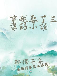 穿越娶了三个老婆的小说