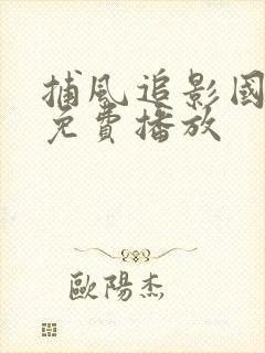 捕风追影国语版免费播放