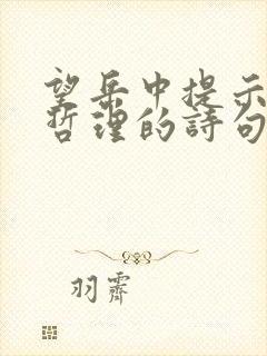 望岳中提示人生哲理的诗句是