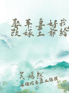 娶平妻好我休夫改嫁王爷给你看