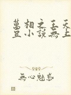 万相之王天蚕土豆小说无上之境