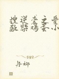 搜逆袭之爱上情敌柴鸡蛋小说完整版 搜逆袭之爱上情敌柴鸡蛋小说完整版