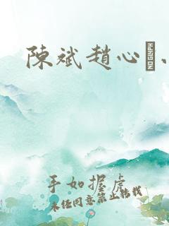陈斌赵心睸小说