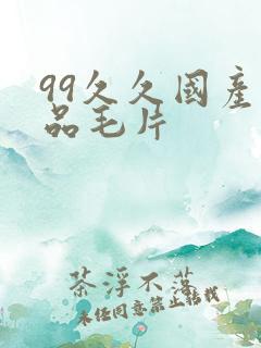 99久久国产精品毛片