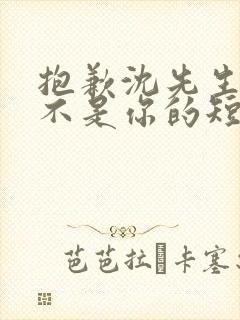 抱歉沈先生孩子不是你的短剧大结局