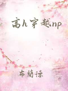 高h穿越np