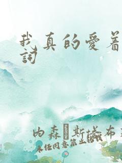 我真的爱着你歌词