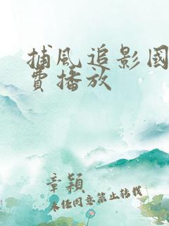 捕风追影国语免费播放