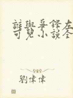 谁与争锋左飞林可儿小说全本txt