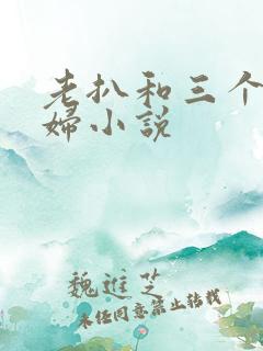 老扒和三个儿媳妇小说