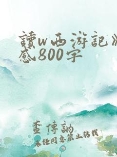 读w西游记》有感800字