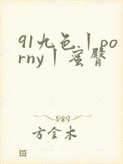 91九色丨porny丨蜜臀 91九色丨porny丨蜜臀