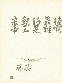 宋朝的最后一个帝王是谁啊