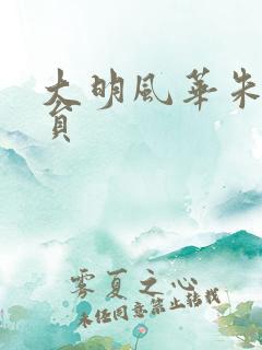 大明风华朱棣演员