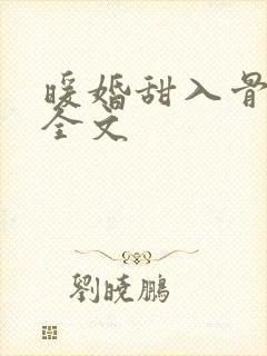 暖婚甜入骨阅读全文