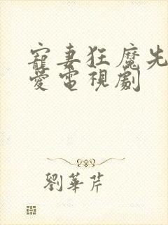 宠妻狂魔先婚后爱电视剧