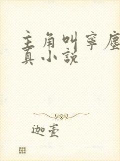 主角叫宁尘的修真小说