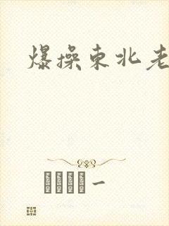 爆操东北老熟女