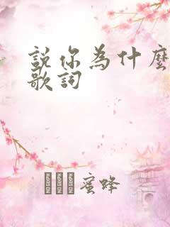 说你为什么爱我歌词