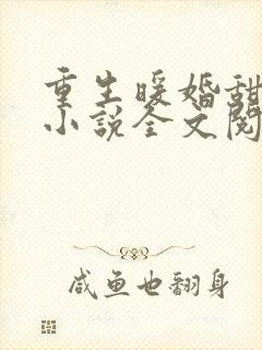 重生暖婚甜入骨小说全文阅读