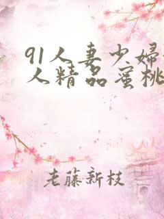 91人妻少妇偷人精品蜜桃