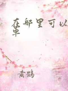 在哪里可以网约车