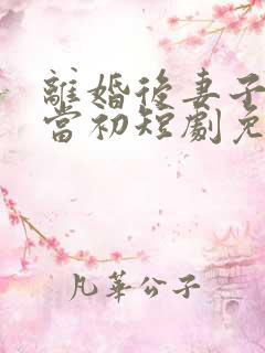 离婚后妻子悔不当初短剧免费观看
