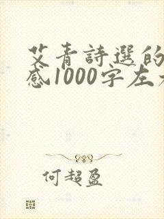 艾青诗选的读后感1000字左右