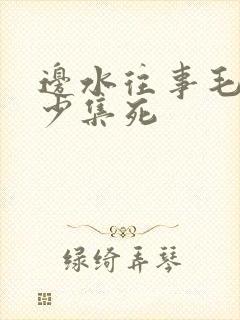 边水往事毛攀多少集死
