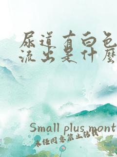 尿道有白色粘液流出是什么原因