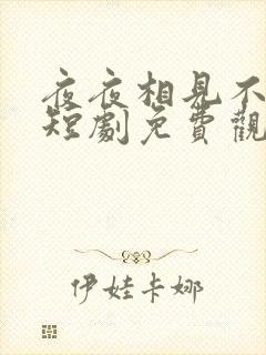 夜夜相见不识君短剧免费观看全集