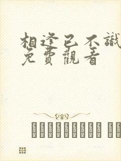 相逢已不识短剧免费观看