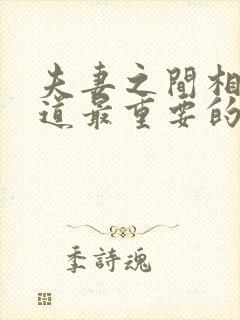 夫妻之间相处之道最重要的是什么