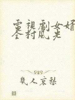 电视剧女婿回乡全村风光